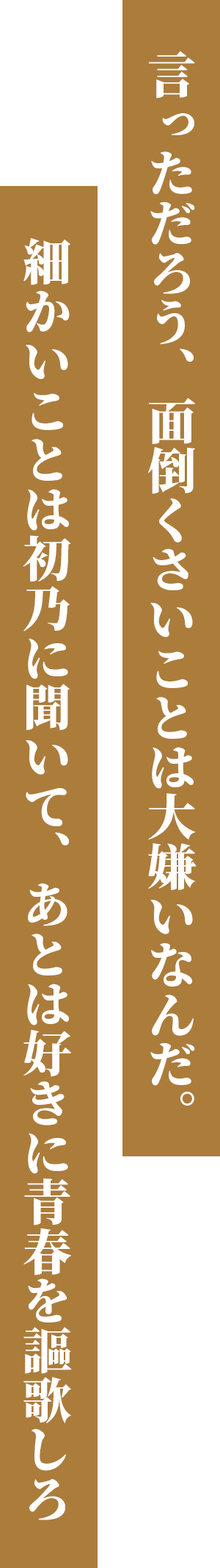 言っただろう、面倒くさいことは大嫌いなんだ。細かいことは初乃に聞いて、あとは好きに青春を謳歌しろ